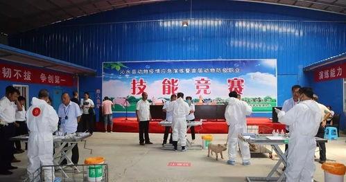 资阳富豪爆料新闻现场图片,揭秘巨额财富背后的真相